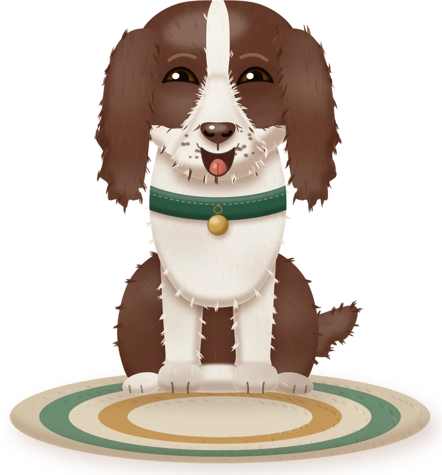 A painted springer spaniel puppy sitting on a round woven rug, smiling, with a green collar and a brass tag.